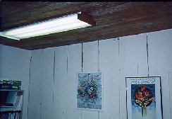 gslightingdesign_web_page_design1002008.jpg